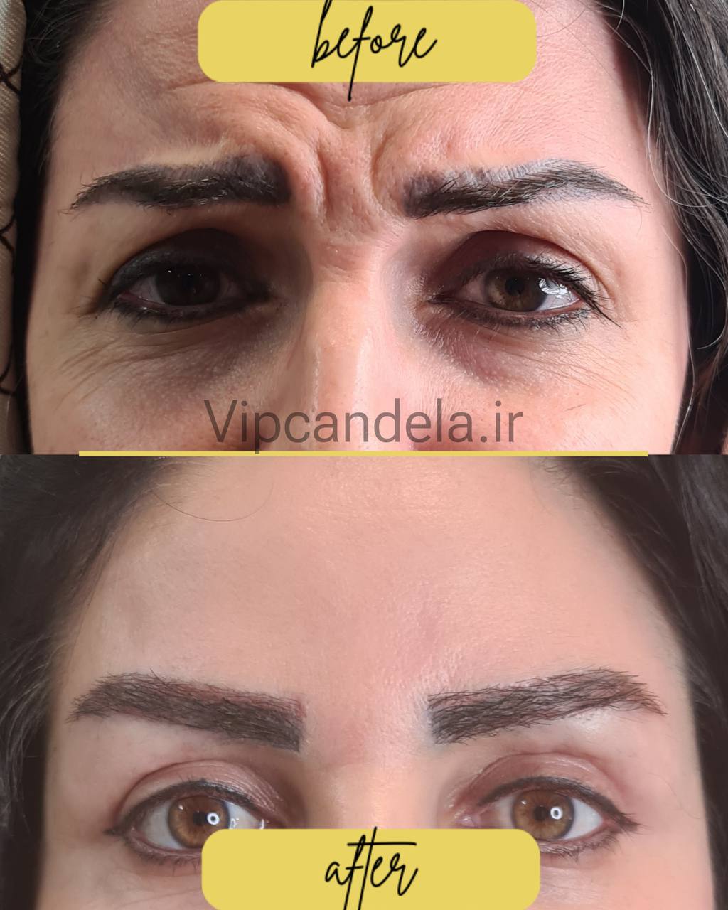 photo_2024-12-12_01-01-43